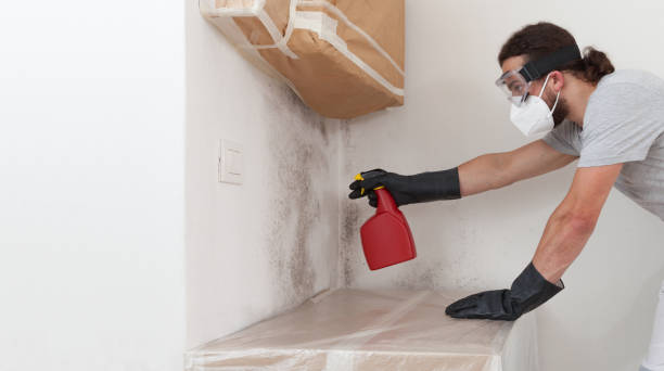 Professional Bathroom Mold Removal technician working in Willingboro, NJ